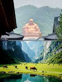 三月總要來一趟江浙滬，感受春和景明