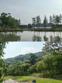 莫干山or嘉興開元森泊