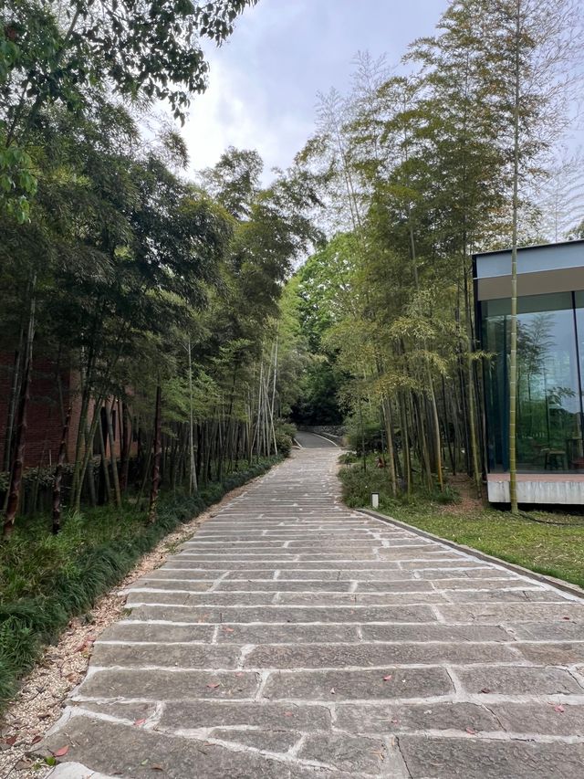 武漢家庭週末遊｜江夏海洋村不吹不黑真實反饋