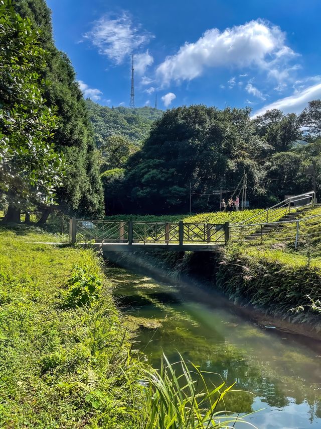 大容山國家森林公園