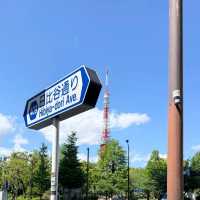 🌤️東京晴日奇遇記｜陰雨多日後，終於擁抱被陽光寵愛的時刻！