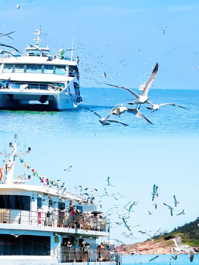《 山東「小馬爾代夫」！海驢島2天1夜神仙玩法（附拍照機位