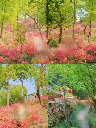 만화 속 한여름 밤의 반딧불이 숲에 들어온 듯한 완남의 작은 마을