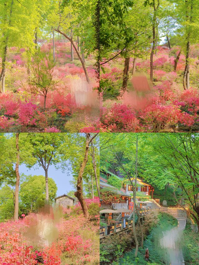 皖南小鎮限定闖進漫畫中的仲夏螢火之森
