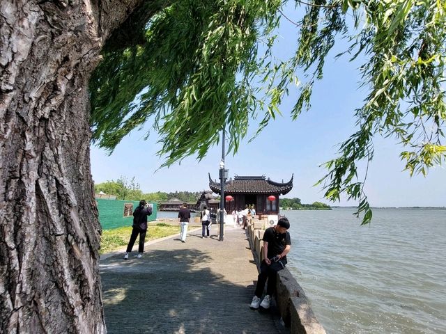錦溪美麗的傳說～陳妃水塚