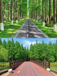 喺鹽城開啟一場野性之旅嘅至強自駕攻略