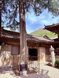 一寺貫六朝——龍門寺