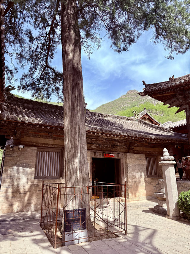 一寺貫六朝——龍門寺