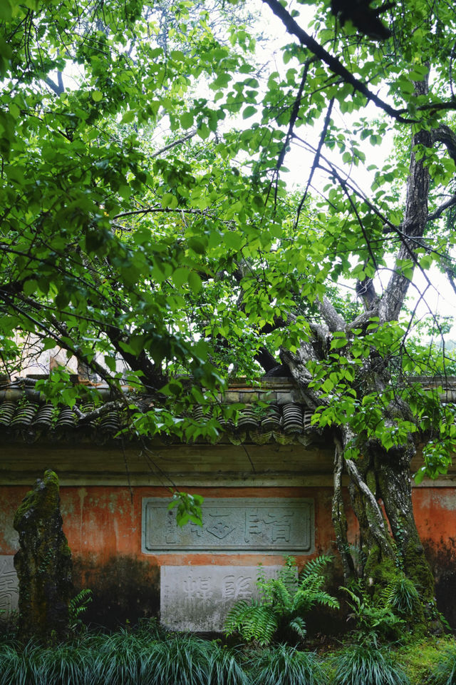 天台山國清寺｜住進禪意秘境，穿越千年的心靈療癒之旅