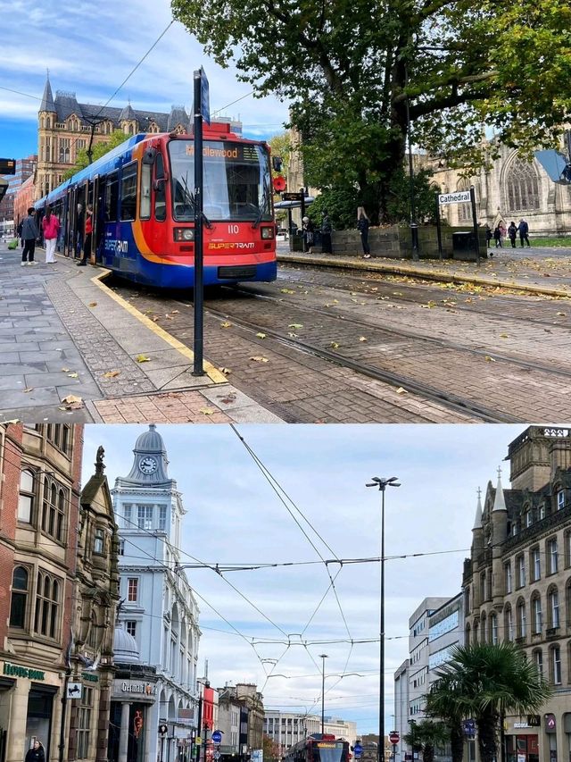 Sheffield's Peace Gardens is so Peaceful🥰😍