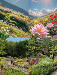 邂逅吉維尼莫奈花園嘅夢幻詩篇