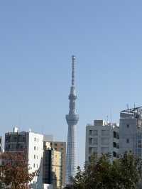 東京轉機半日遊 | 暢玩東京國立博物館