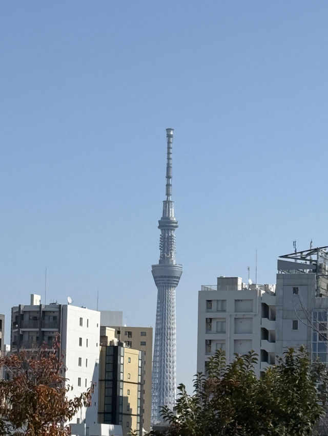 東京轉機半日遊 | 暢玩東京國立博物館