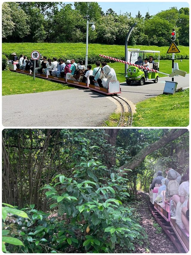 闖入瑞士童話鎮！蘭湖治癒撒野計劃