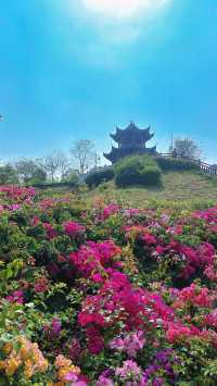 《深圳玉龍公園：一個令導航崩潰、讓打工仔回血嘅神秘結界》