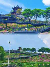 《深圳玉龍公園：一個令導航崩潰、讓打工仔回血嘅神秘結界》