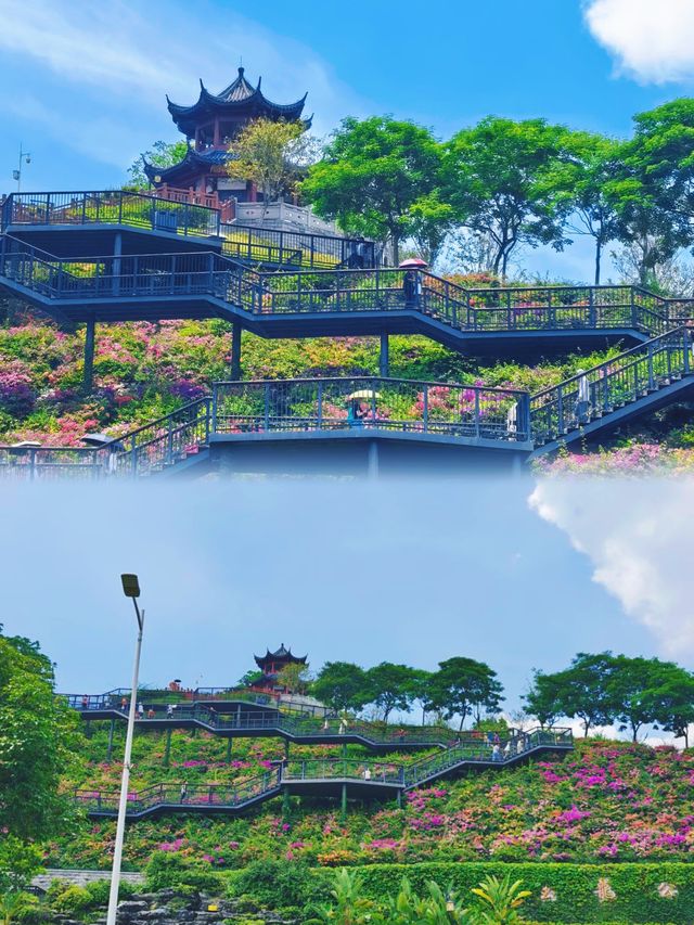 《深圳玉龍公園：一個令導航崩潰、讓打工仔回血嘅神秘結界》