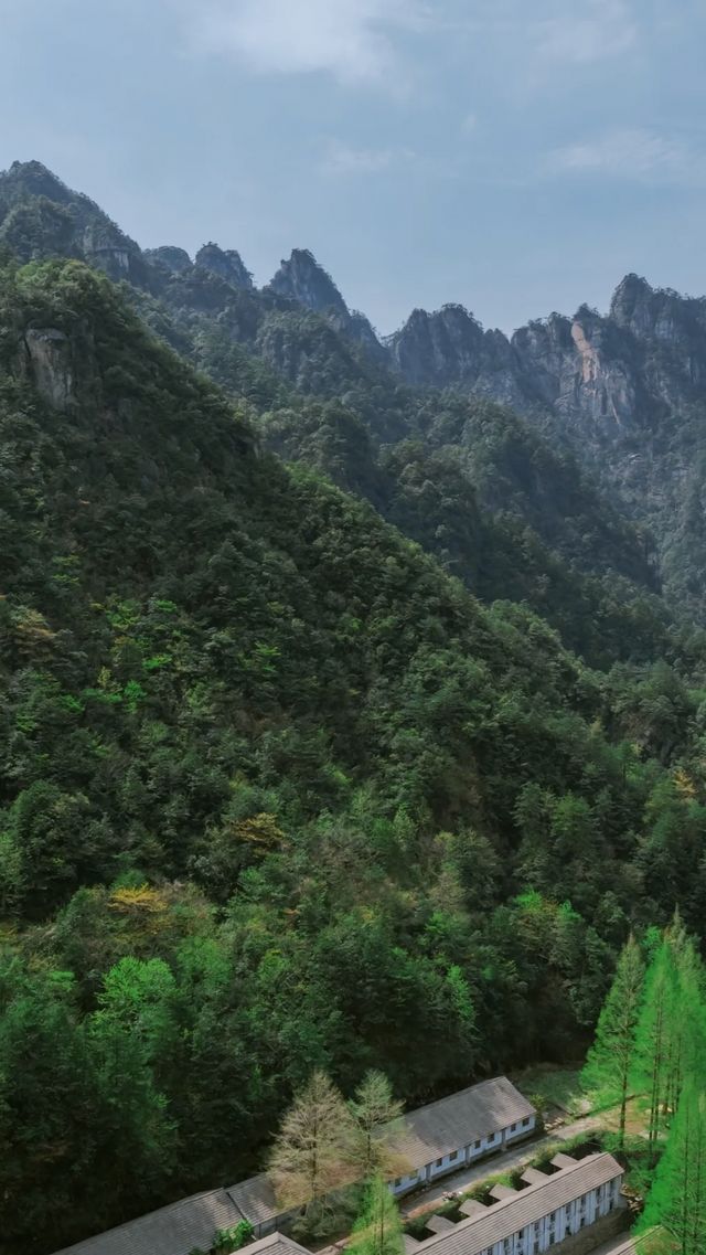 大明山記：雲海與奇峰的千年私語