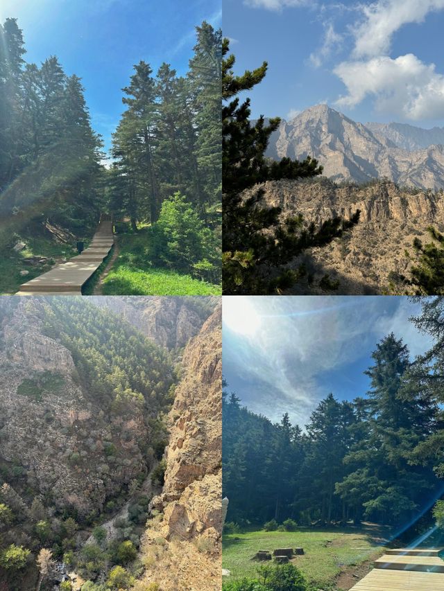 終於來到地理書上的賀蘭山
