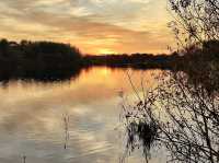 Explore Nature’s Hideaway: Cleethorpes Country Park!