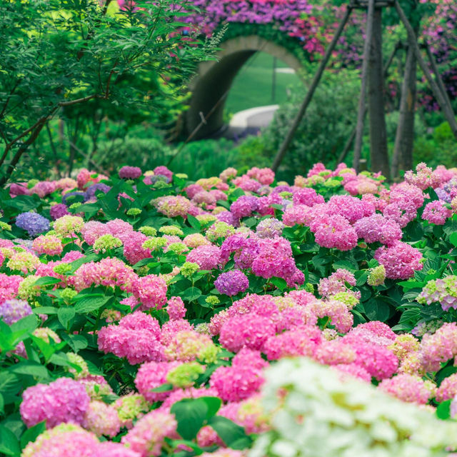 讓我再一次告訴你，這裡夏花無人知曉的美💐
