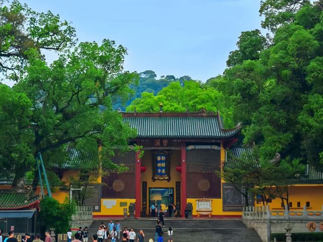 端午尋禪問道！香港高鐵3小時直達南華禪寺禮佛靜心之旅