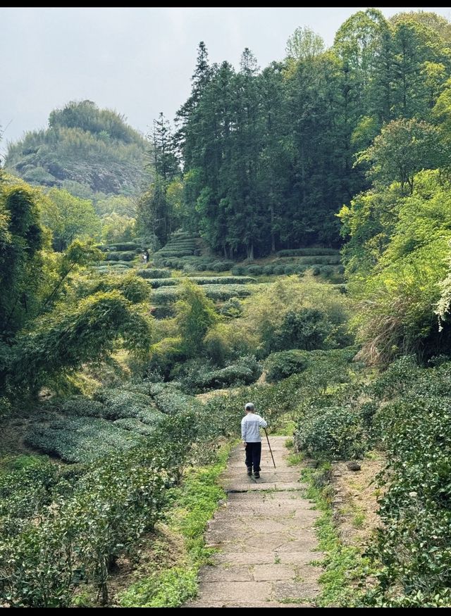 呢座隱世小城，放空行山好去處