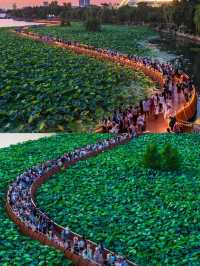 南京玄武湖 | 必睇超全旅遊攻略