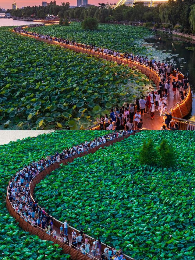 南京玄武湖 | 必睇超全旅遊攻略