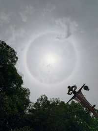 樹抱佛頭：暹羅的「永恆微笑」 地點：瑪哈泰寺（Wat Mahathat） 傳奇故事： 1767年
