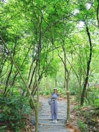 白雲山又新增行山好去處六榕小徑
