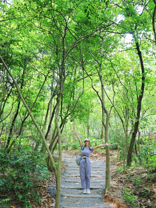 白雲山又新增行山好去處六榕小徑