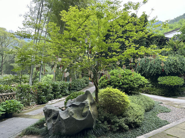 花築奢·海鳥天地民宿