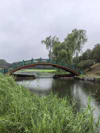 煙雨圓明園：江南韻與歷史愁