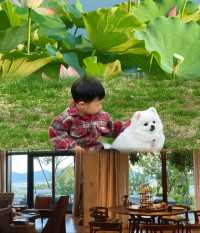 度假感唔輸海島｜蘇州呢間親子酒店太正啦