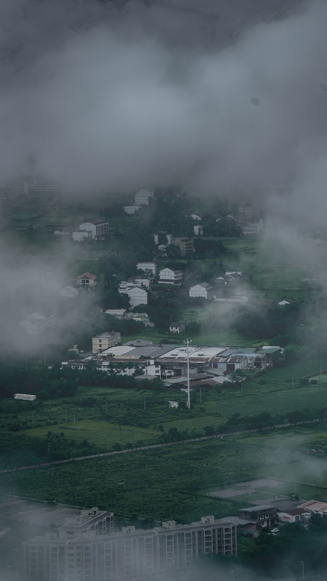 逃離人擠人溫州仁里村半嶺日出雲海 手機拍到記憶體爆炸！