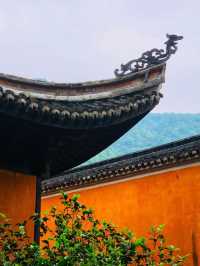 國清寺攻略·解鎖千年古剎的正確打開方式