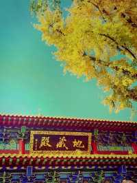 【靈岩禪寺：尋幽訪勝的禪意之旅】**  