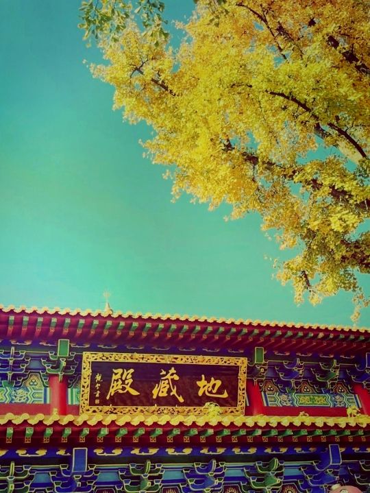 【靈岩禪寺：尋幽訪勝的禪意之旅】**  