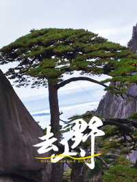 登一登黃山，睇迎客松