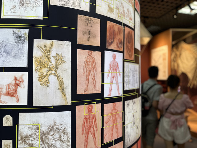 暑期睇展｜自然博物館裏嘅達文西