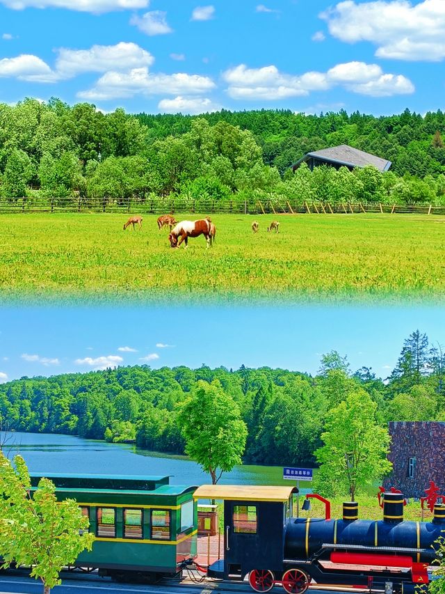 2. 一對情侶點樣靠佢哋喺長白山浪漫旅行？睇吓佢哋嘅經