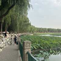 Beihai - Beijing!