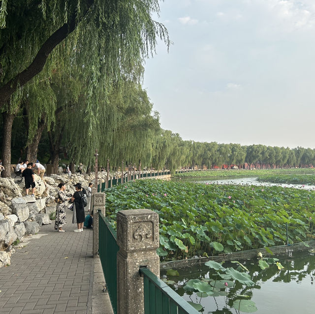 Beihai - Beijing!
