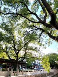 🍃《安亭老街：一場與歲月相逢的輕聲細語》