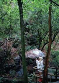 昆明1小時直達「天空索橋」森林之巔