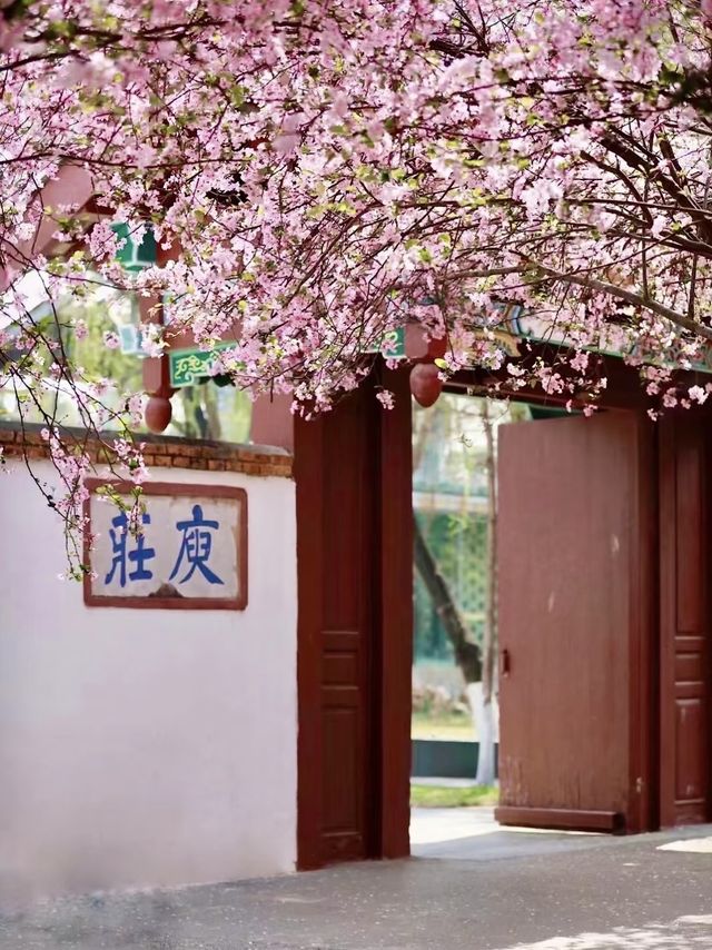 喺昆明 影到《慶餘年》同款月洞門