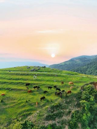 후베이에서! 21º의 고산 초원, 여름이 너무 시원해요～