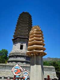 20250503    南塔北剎間，偷得雲居半日閒