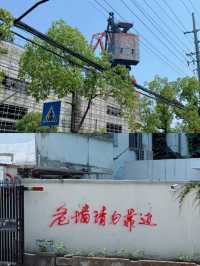 復興島漫遊：江風與櫻花共舞